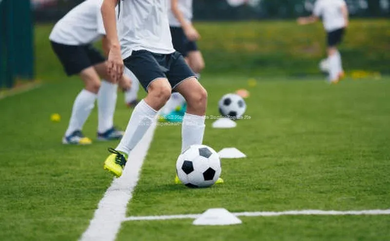 沐鸣2娱乐平台官方网站江铃新能源