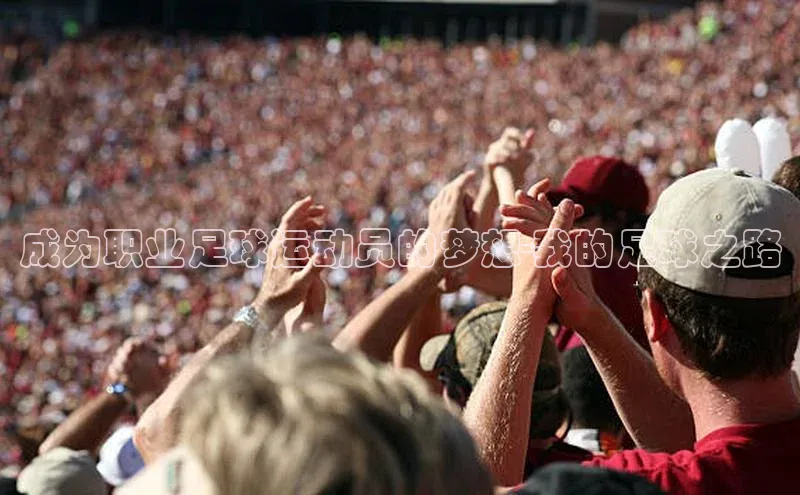 沐鸣2手机网页版小米