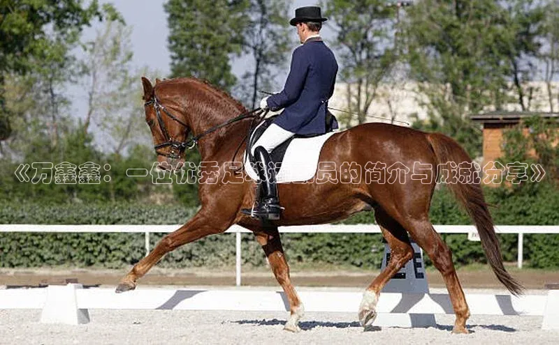 沐鸣2娱乐平台官方网站诸葛科技
