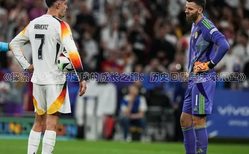 沐鸣2平台百家号