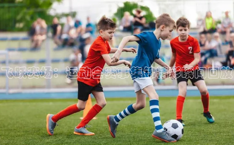 沐鸣2娱乐平台官方网站