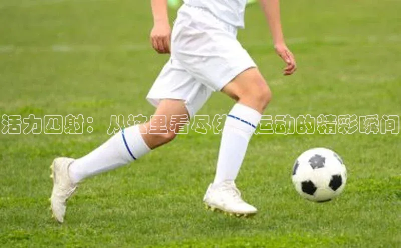 首页沐鸣2注册官网